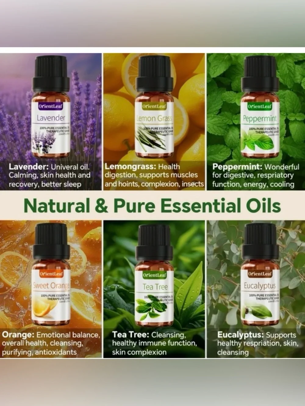 Essential Oil Gift Set (NWT!) - Picture 2 of 8